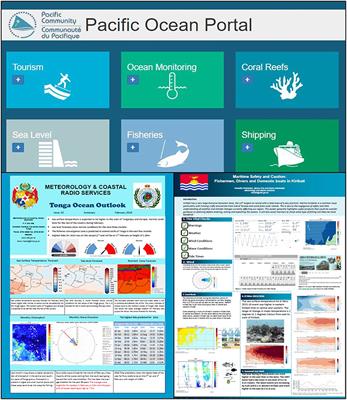 Lessons From the Pacific Ocean Portal: Building Pacific Island Capacity to Interpret, Apply, and Communicate Ocean Information